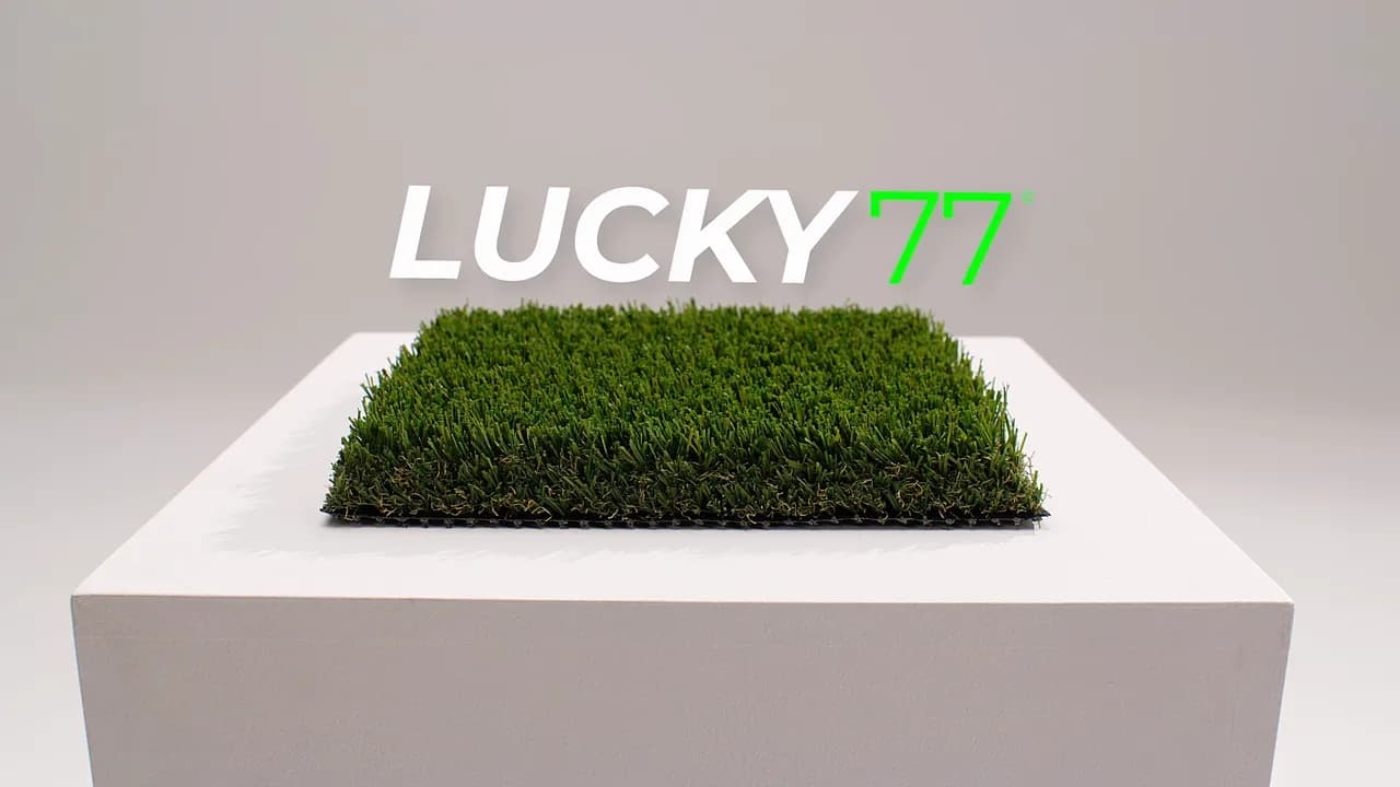 Lucky 77