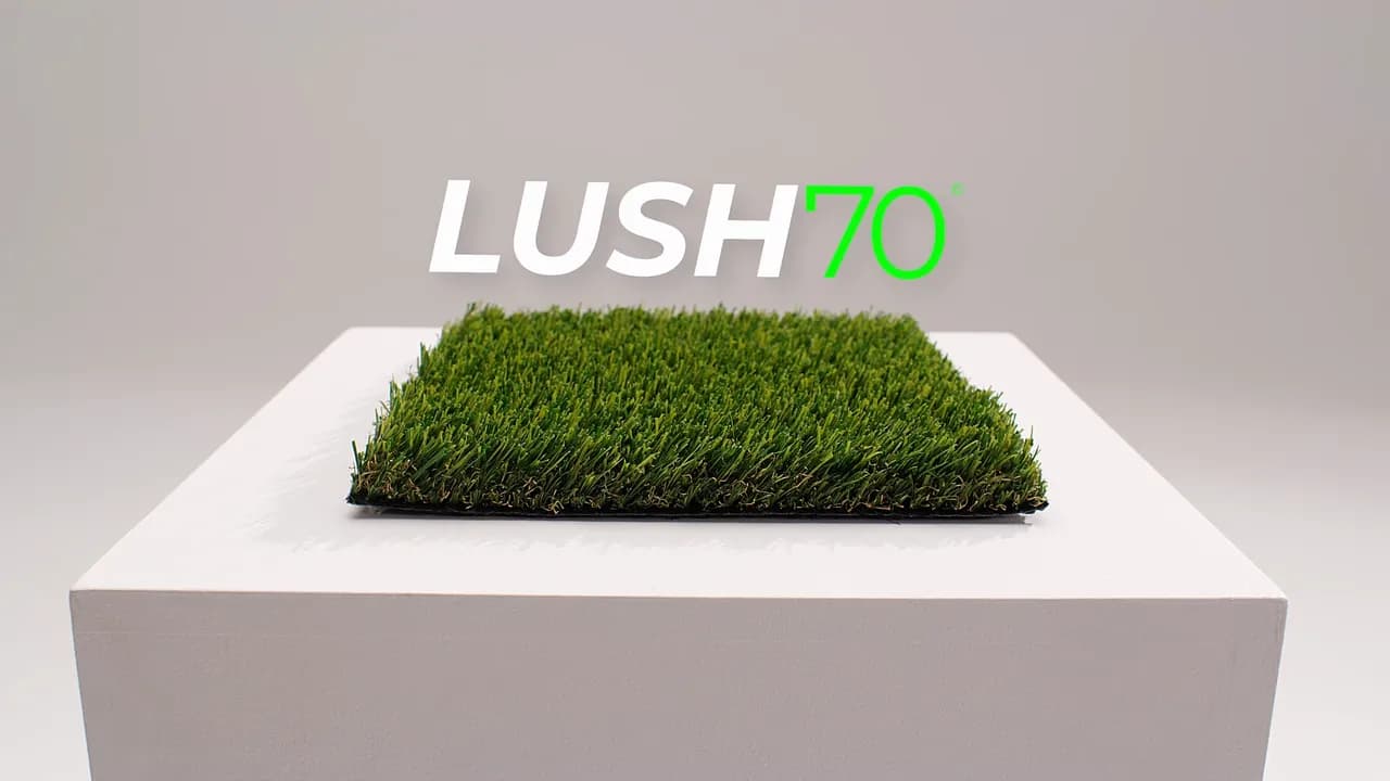 Lush 70